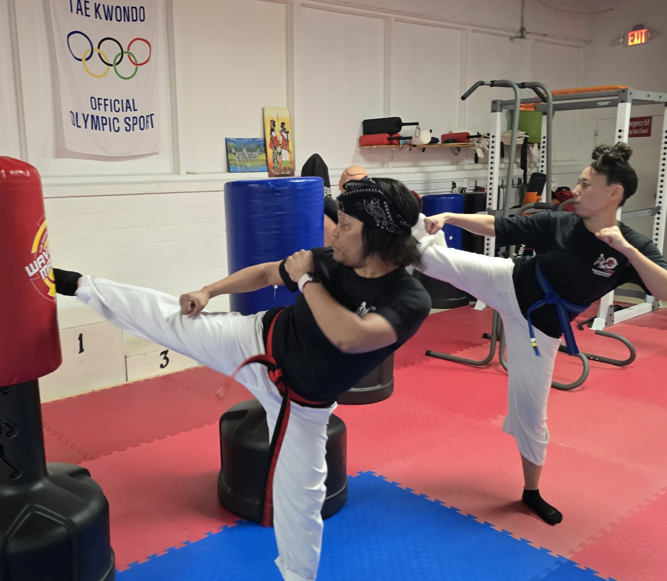 Picture of Target Kicking